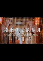 潘金莲外传免费4K