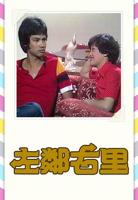 《左邻右舍》电影免费流畅播放