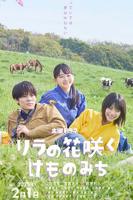《丁香花开的兽道》高清在线播放百度云